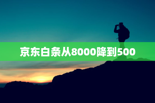 京东白条从8000降到500（国家承认10家网贷平台） 第1张