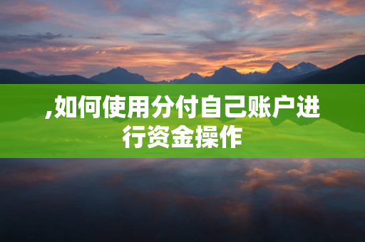 如何使用自己分付账户进行资金操作 第1张