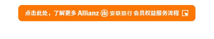 安联人寿安行万里境外旅行意外险（全球版）