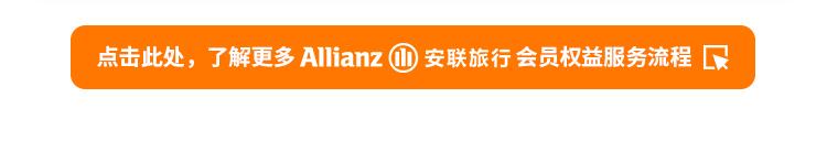 安联人寿安行万里境外旅行意外险（亚太版）