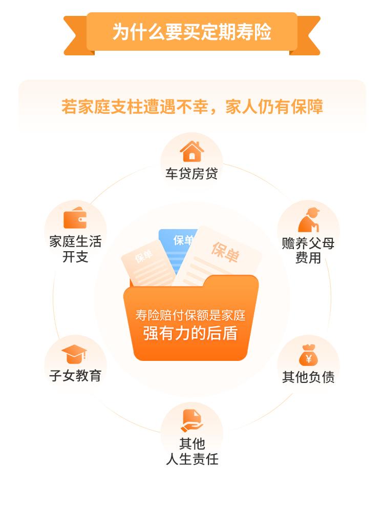 华贵大麦旗舰版A款定期寿险（互联网）