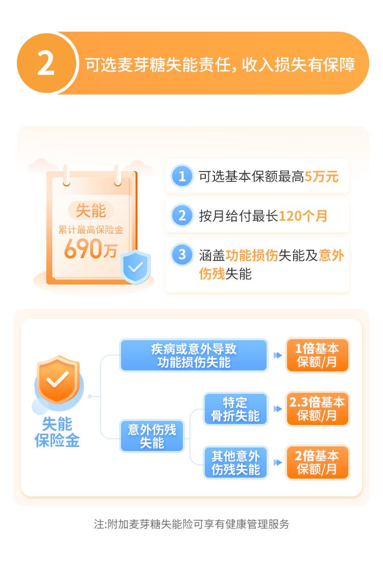 华贵大麦旗舰版A款定期寿险（互联网）