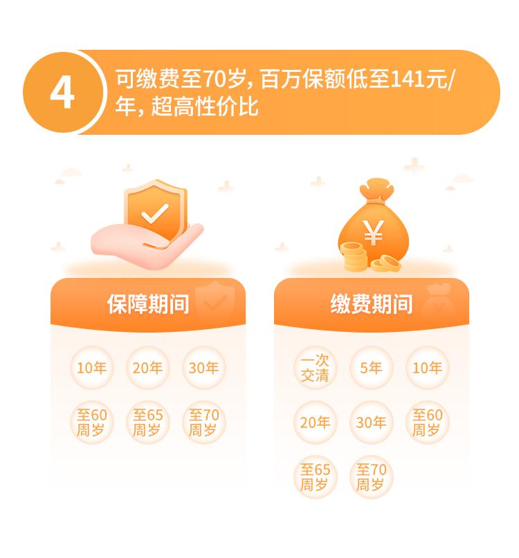 华贵大麦旗舰版A款定期寿险（互联网）
