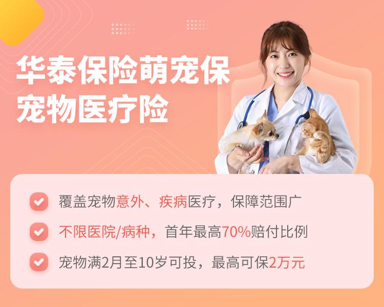 华泰保险萌宠保宠物医疗险简介
