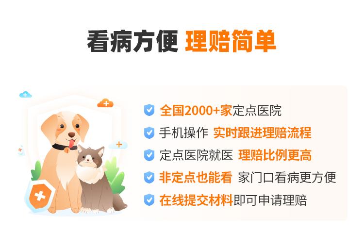 华泰保险萌宠保宠物医疗险