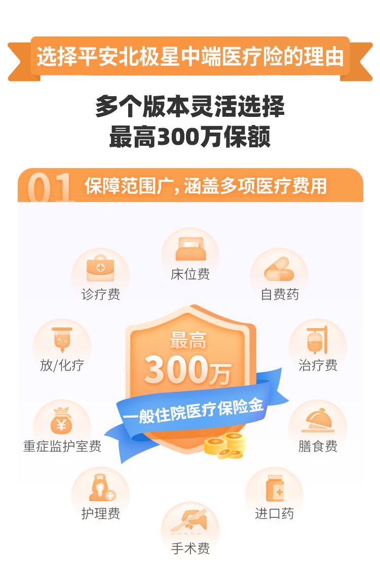 平安北极星中端医疗（2023互联网）
