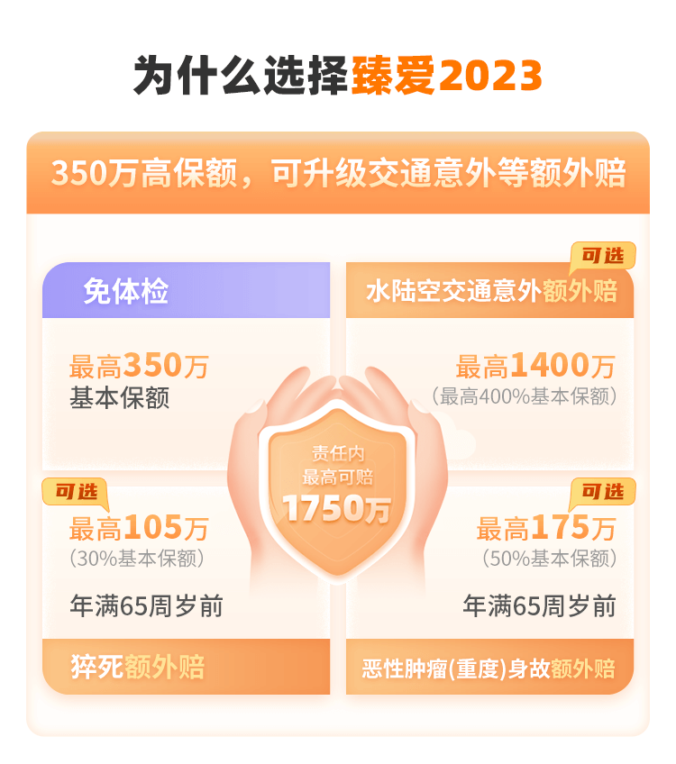 同方全球「臻爱2023」互联网定期寿险